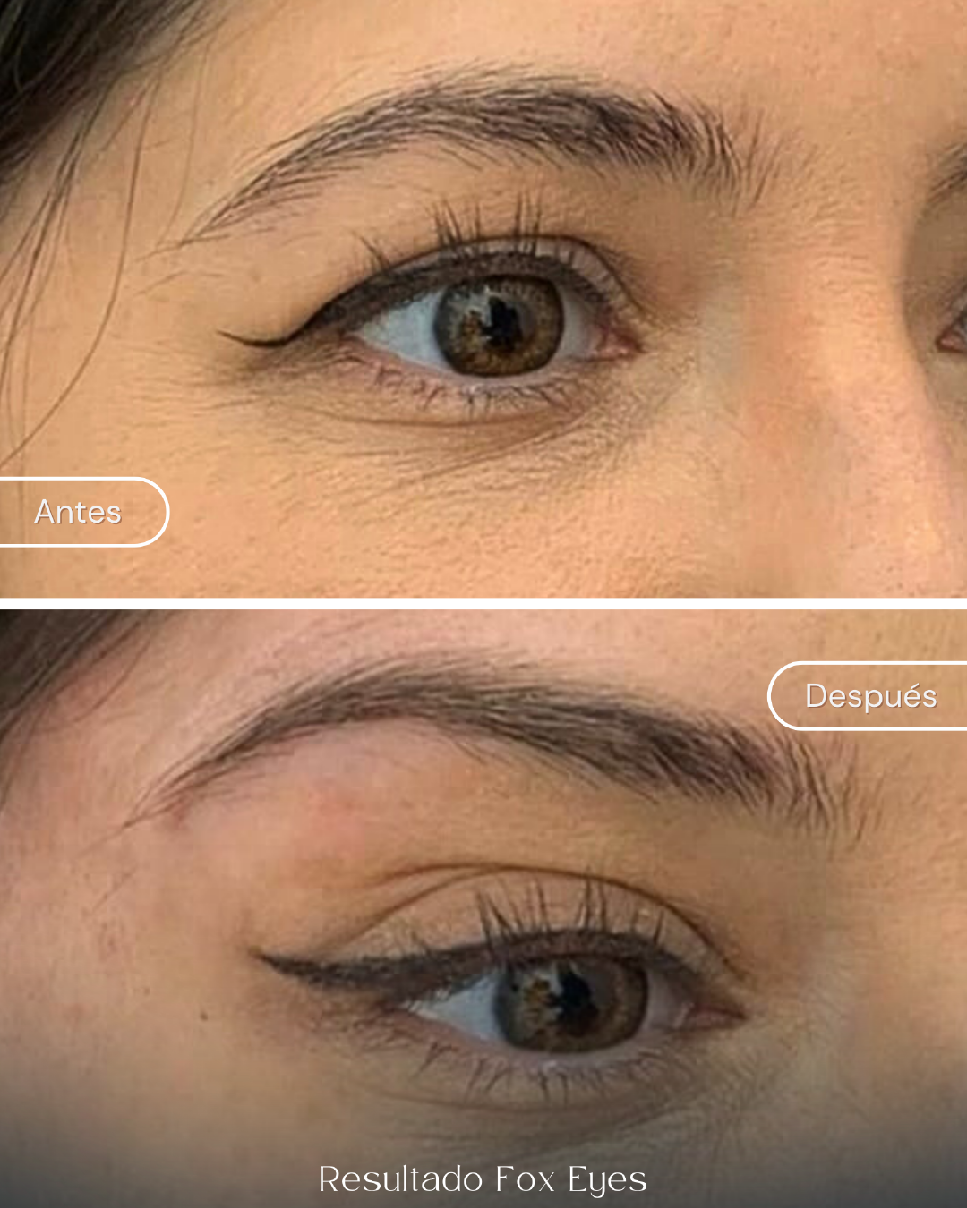 fox eyes